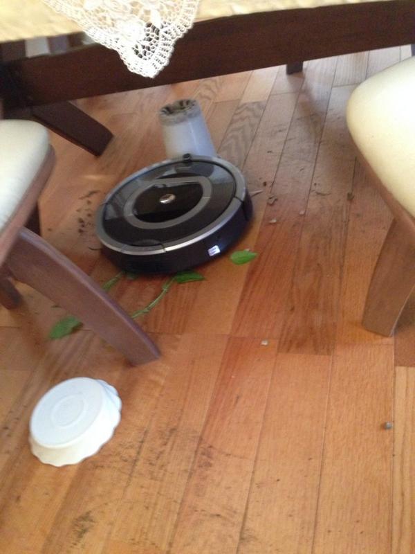 ルンバの逆襲 お掃除ロボット ルンバ が主人に反逆した結果wwwwwwwww オレ的ゲーム速報 刃 ルンバの逆襲 お掃除ロボット ルンバ が主人に反逆した結果wwwwwwwww オレ的ゲーム速報 刃