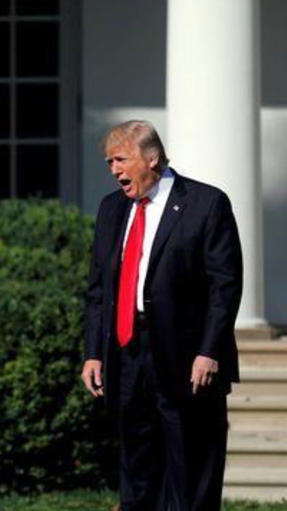 ����ꥫ���ۥ磻�ȥϥ������Ǵ��ꡡ��ǯ���ȥ��������Τ˴�Ϣ��������-03