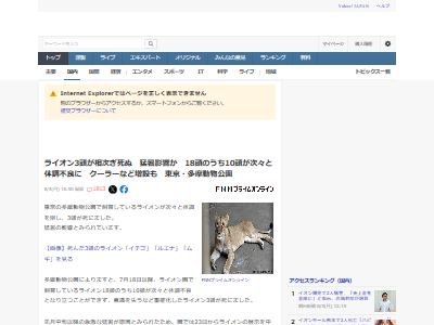¿��ưʪ���� �饤���� ��˴ Ǯ��� �Խ� ���եꥫ�˴�Ϣ��������-02