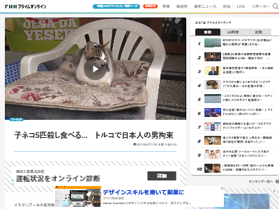 トルコで子猫5匹を殺し食べた日本人 犯行の一部始終を笑いながら供述し 日本ではネコを食べる習慣がある と主張 オレ的ゲーム速報 刃 トルコで子猫5匹を殺し食べた日本人 犯行の一部始終を笑いながら供述し 日本ではネコを食べる習慣がある と主張 オレ的ゲーム速報 刃
