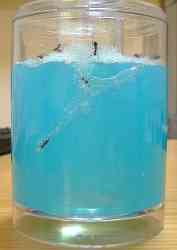 ����β���