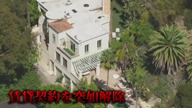 ����ꥫ d4vd ��� ���쥹�� ���� ���ΰ�� ���Ǥ˴�Ϣ��������-31