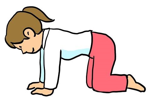 テレビ会議　四つん這い　カメラに関連した画像-01