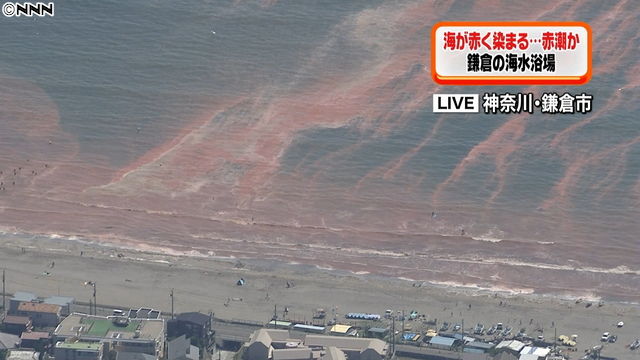 昨日真っ赤に染まった鎌倉の海が 昨晩真っ青に光りだす すげええええええ オレ的ゲーム速報 刃