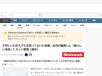 天井 クモ 虫 赤ちゃん 大量に関連した画像-02