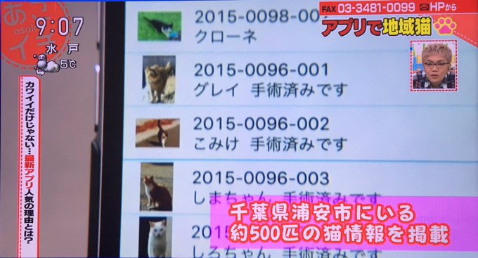 猫の糞夕被害に悩まされたから毒餌をやる人に同情する お前らどう思う オレ的ゲーム速報 刃 猫の糞夕被害に悩まされたから毒餌をやる人に同情する お前らどう思う オレ的ゲーム速報 刃