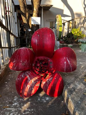 トラウマ タコ 花 遊具 不気味 ホラーに関連した画像-05