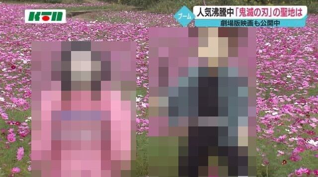 長崎県 コスモス畑 鬼滅の刃 竈門炭治郎 禰豆子 カカシに関連した画像-01