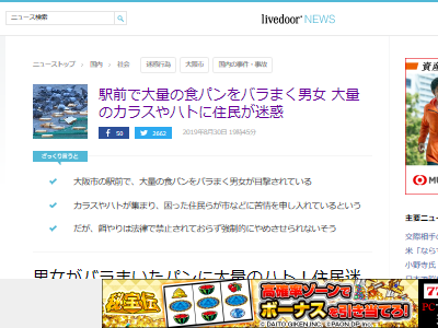 鳩 餌 パン 迷惑行為 逮捕 規制 法整備に関連した画像-02