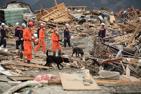 �����ܡ��������֥곫ȯ�˴�Ϣ��������-01