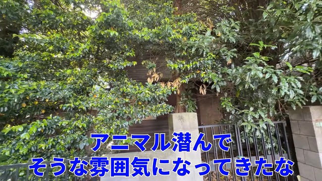 世田谷区 廃墟 空き家 急増 固定資産税 相続税 少子高齢化に関連した画像-09