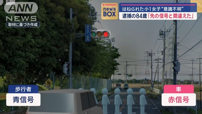 84歳 老人 横断歩道 突撃 小1 女子小学生 意識不明 信号 見間違いに関連した画像-03