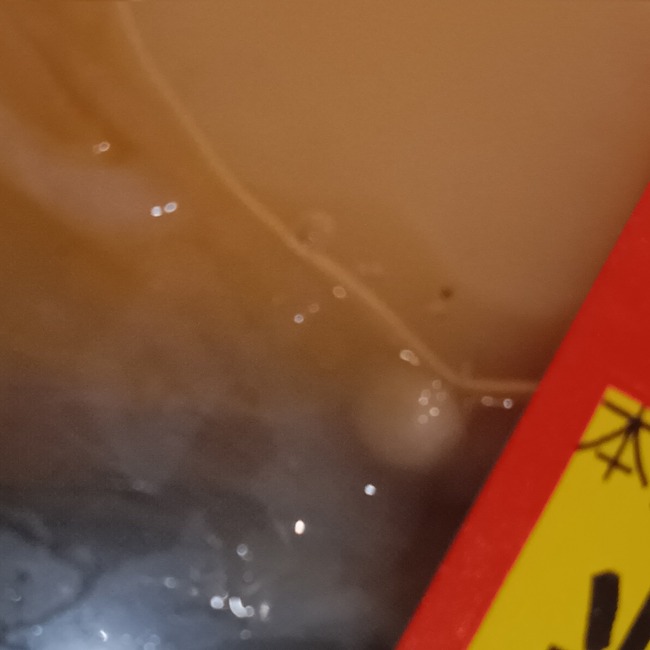 �ۥ��ơ�������ڡ�����������˴�Ϣ��������-03