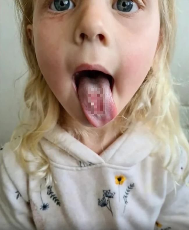 �������ȥ�ꥢ Ķ���äѤ� �����ǥ��� 4�� ���� �� ����Ǯ���˴�Ϣ��������-03