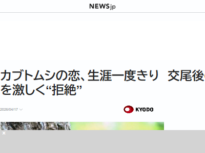 ���֥ȥॷ�����������桡�����硡���䡡�¸��˴�Ϣ��������-02