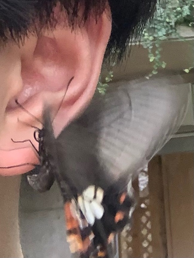 ������ĳ���񡡼���������˴�Ϣ��������-02