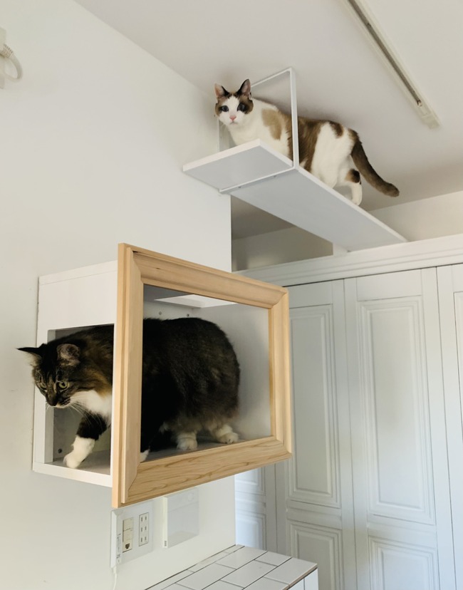 ͥȶ񡡥ͥ˳̣ǭΤ˴Ϣ-07