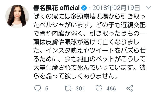 動物 YouTuber 猫 自演に関連した画像-17