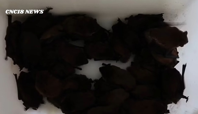 ���������ۥƥ롡���񡡥��åץ롡�롡������������ꡡ250ɤ�˴�Ϣ��������-05