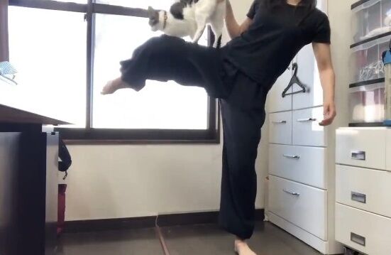 女性舞台役者が蹴りを動画で解説 途中で猫が乱入してきた結果wwwwww オレ的ゲーム速報 刃 女性舞台役者が蹴りを動画で解説 途中で猫が乱入してきた結果wwwwww オレ的ゲーム速報 刃