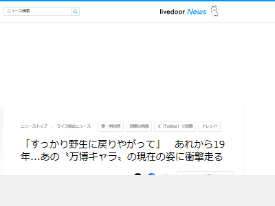 モリゾー キッコロ 愛・地球博 万博に関連した画像-02