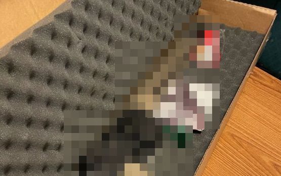 義母　ペット　通販　キャットフード　手違い　誤送　アサルトライフル　本物　配達　に関連した画像-01