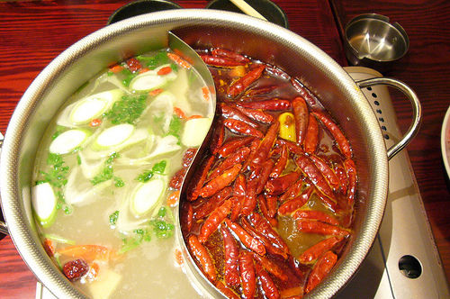 2266415156_8b28bb807b[1]