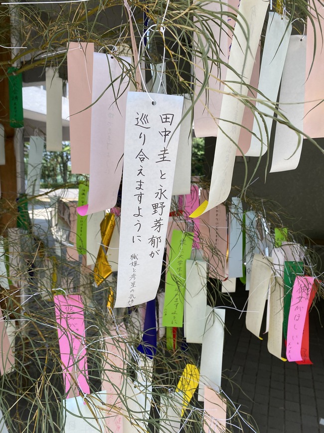 京大 短冊 田中圭 永野芽郁 不倫 七夕に関連した画像-03
