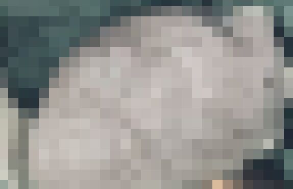 体重　増加　女性　肥満　医者　病院　卵巣　腫瘍　悪性　がんに関連した画像-01