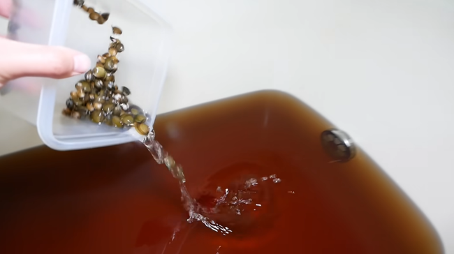 �����ᵪ�������ߡ�100ɤ���ޥ���������ޡ������������72���֡����ڡ��������ɥ֤˴�Ϣ��������-11