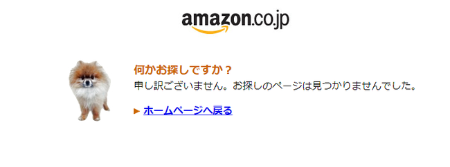 Amazon ץ饤ǡ ݥ˥˴Ϣ-01