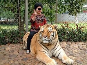 img_464064_37435220_0