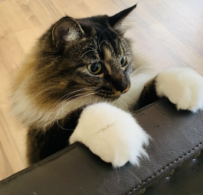 ͥȶ񡡥ͥ˳̣ǭΤ˴Ϣ-04