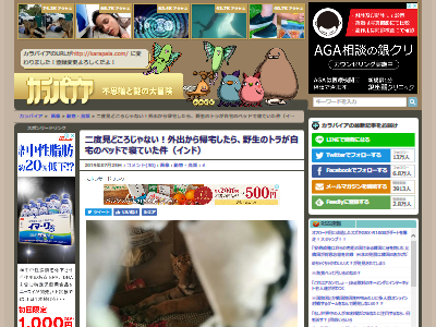 ����� ���� �ȥ�˴�Ϣ��������-02