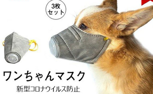 犬用マスク批判に関連した画像-01