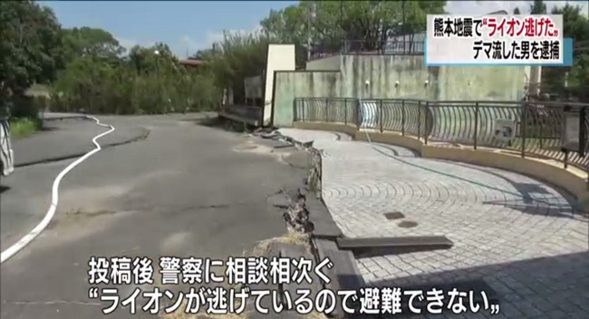 ツイッターでデマを流した男が逮捕 熊本地震で 動物園のライオンが逃げた とツイート オレ的ゲーム速報 刃 ツイッターでデマを流した男が逮捕 熊本地震で 動物園のライオンが逃げた とツイート オレ的ゲーム速報 刃