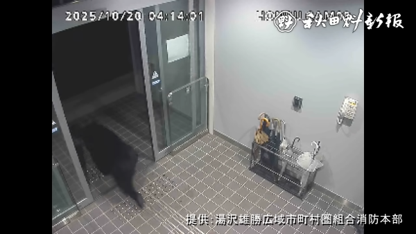 秋田県 庁舎 自動ドア 熊 クマ 侵入 動画 映像に関連した画像-07