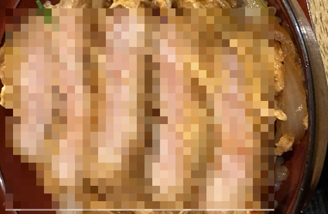 X民「カツ丼の肉が生だった。作り直すって言われたけど食中毒になるから要らんと突っ返してきた」パシャッ→ガチで怖すぎるぐらい生だと話題に・・・