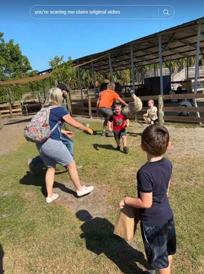 ���� ���ߥ塼 �����祦 �Ҷ� �ɤ������ä� ���ݤ˴�Ϣ��������-02