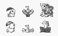 ポケモン金銀のデモ版が流出 見たことないポケモンが大量に発見される オレ的ゲーム速報 刃