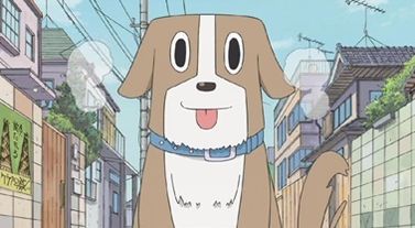 台風明け犬散歩レプトスピラ菌に関連した画像-01