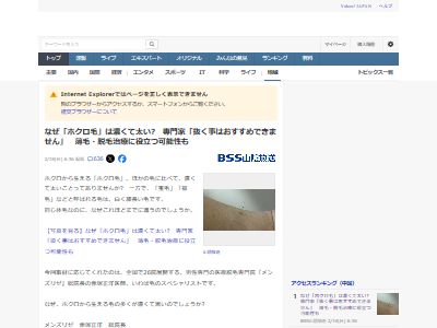 ˥ǡۥѥ졼æӡˡϥߤ˴Ϣ-02