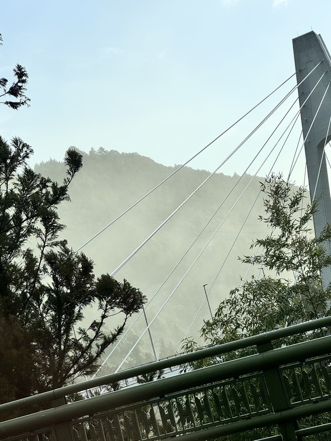 花粉 花粉症 飛散 飛散量 スギ花粉 大量 グラフに関連した画像-03