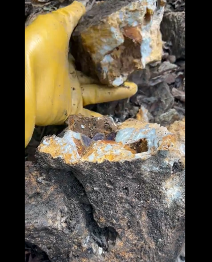 ���ܡ��С���롡���᥸���ȡ�Ǿ�������˴�Ϣ��������-03