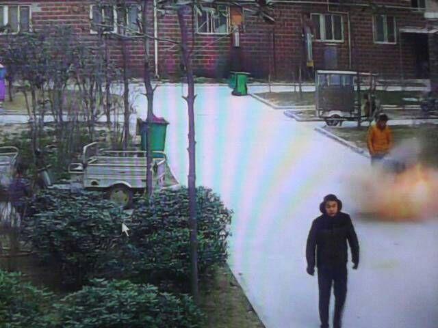 ��ȯ���ޥ�ۡ��롡���ݡ��˴�Ϣ��������-03