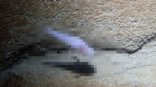 cf284886.png