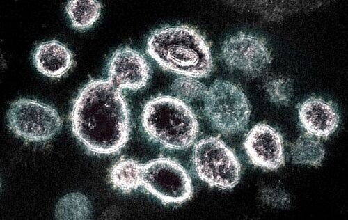 新型コロナウイルス 第10波 厚生労働省 医療機関 感染対策に関連した画像-01