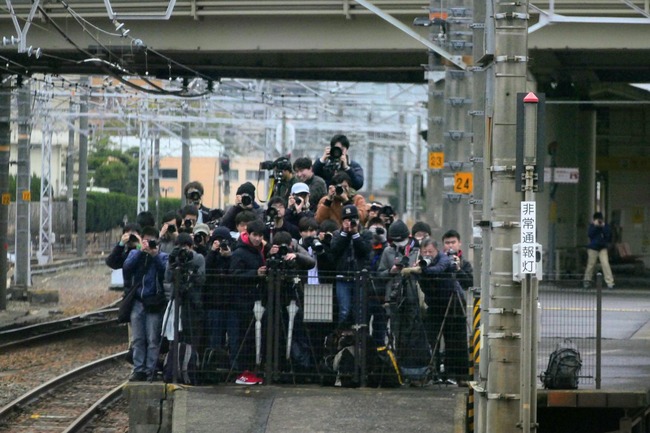 撮り鉄　伐採　犯罪　柿の木に関連した画像-01