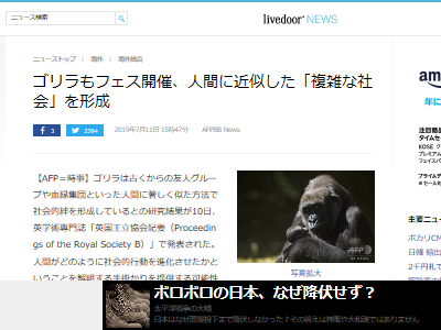 ゴリラ フェス 社会 交流 家族 関係に関連した画像-02