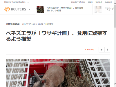 ベネズエラの貧困地区に食料として配給されたウサギの末路 オレ的ゲーム速報 刃